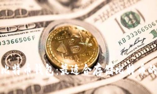 如何选择比特币钱包:最适合存储比特币的选项详解