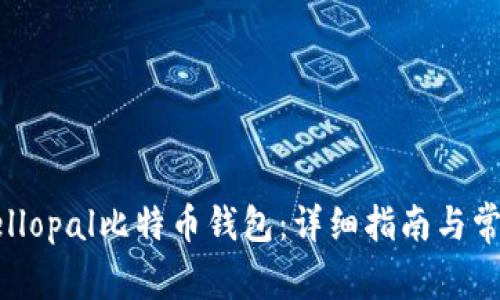 如何开启Hellopal比特币钱包:详细指南与常见问题解答
