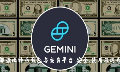 全面解读比特币钱包与交易平台:安全、使用及选择指南
