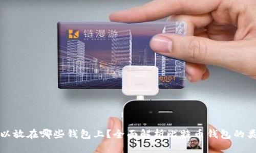 比特币可以放在哪些钱包上?全面解析比特币钱包的类型和选择