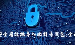 如何安全有效地导入比特币钱包:全面指南