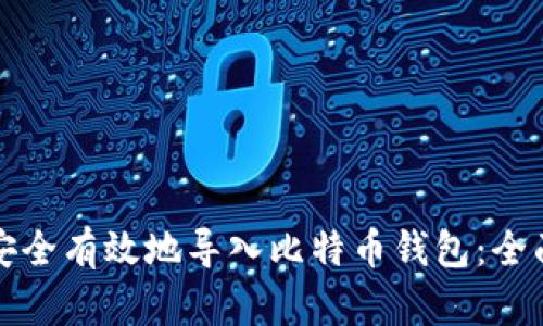 如何安全有效地导入比特币钱包:全面指南