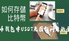 解决火币钱包中USDT无图标问题的全面指南