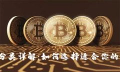 比特币钱包分类详解:如何选择适合你的比特币