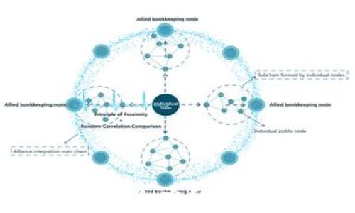 比特币钱包丢了怎么办?详细指南与解决方案