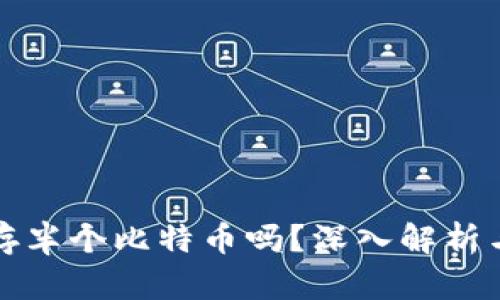 冷钱包能存半个比特币吗？深入解析与使用指南