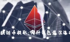 区块链币提取：哪种钱包最佳选择？