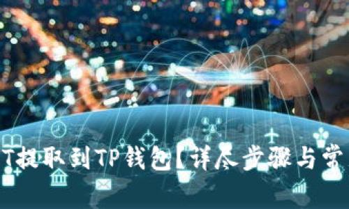 如何将USDT提取到TP钱包?详尽步骤与常见问题解答