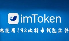如何安全地使用198比特币钱包文件:全面指南