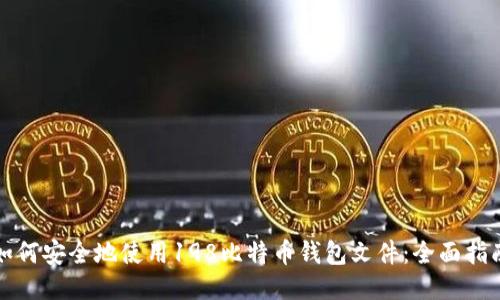 如何安全地使用198比特币钱包文件:全面指南
