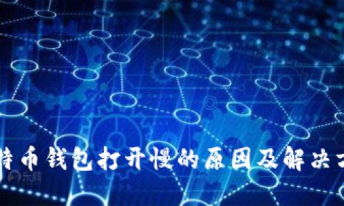 比特币钱包打开慢的原因及解决方法