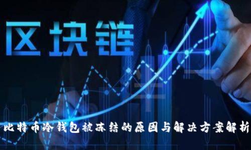 比特币冷钱包被冻结的原因与解决方案解析