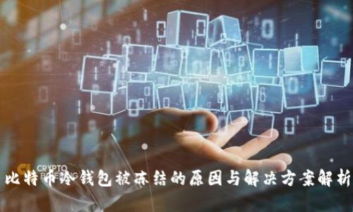 比特币冷钱包被冻结的原因与解决方案解析