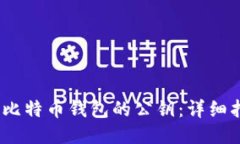  如何查看比特币钱包的公钥：详细指南与步骤