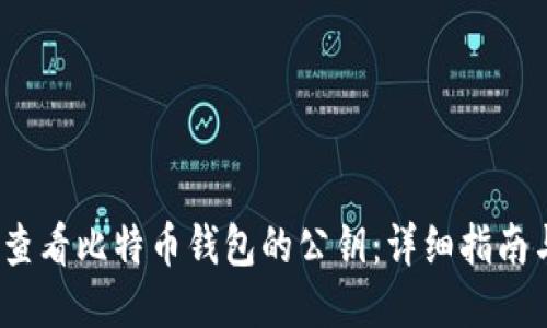 如何查看比特币钱包的公钥:详细指南与步骤