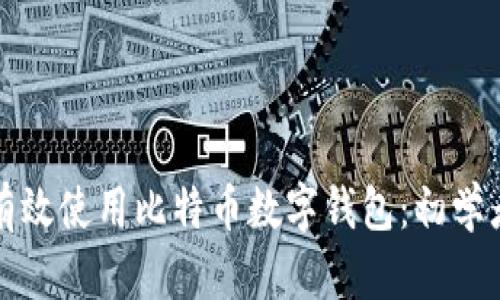 如何有效使用比特币数字钱包：初学者指南