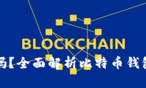 比特币需要钱包吗？全面解析比特币钱包的重要性与选择