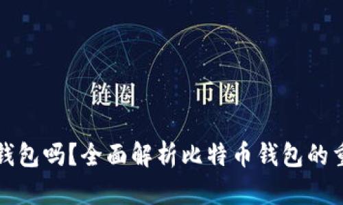 比特币需要钱包吗？全面解析比特币钱包的重要性与选择