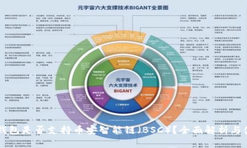 以太坊钱包是否支持币安智能链（BSC）？全面解析与使用指南