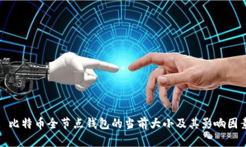 : 比特币全节点钱包的当前大小及其影响因素