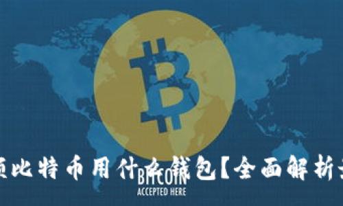 :
发送小额比特币用什么钱包？全面解析最佳选择