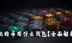 :发送小额比特币用什么钱包？全面解析最佳选择