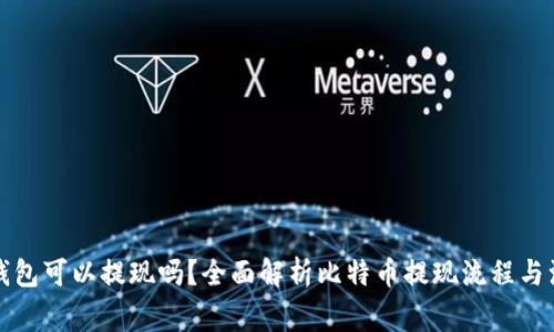 比特币钱包可以提现吗？全面解析比特币提现流程与注意事项