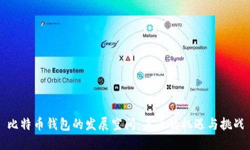 比特币钱包的发展空间：未来的机遇与挑战