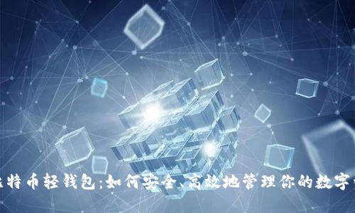 : 比特币轻钱包：如何安全、高效地管理你的数字资产