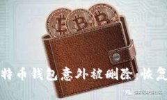 如何应对比特币钱包意外被删除:恢复与防范指