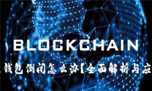 区块链钱包倒闭怎么办？全面解析与应对策略