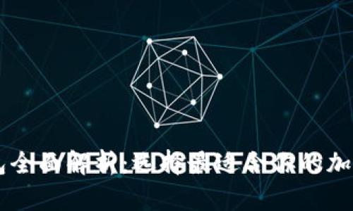主流区块链钱包全面解析：选择最适合你的加密资产管理工具