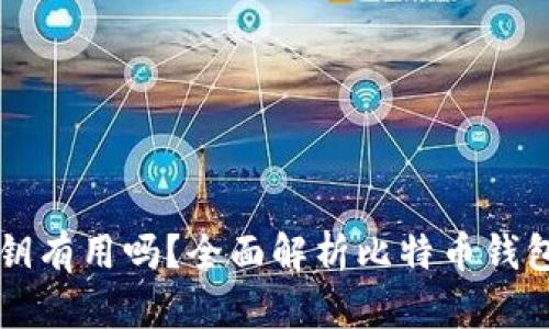 只有比特币钱包密钥有用吗？全面解析比特币钱包安全性与使用方法