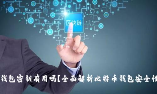只有比特币钱包密钥有用吗？全面解析比特币钱包安全性与使用方法