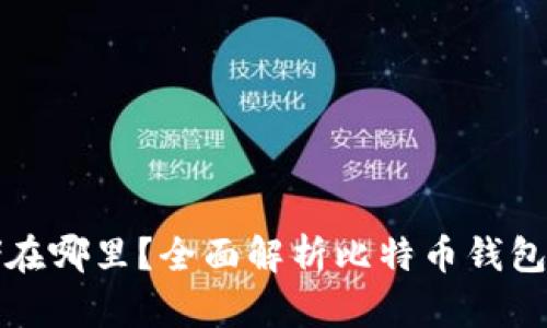 比特币钱包存储在哪里?全面解析比特币钱包的类型与安全性