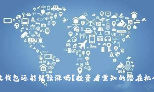 虚拟币放钱包还能继续涨吗?投资者需知的潜在机会与风险