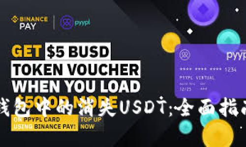如何恢复TP钱包中的消失USDT:全面指南与解决方案