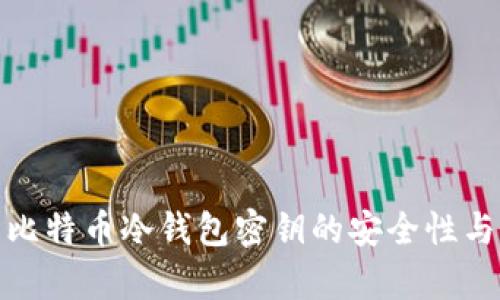 全面解析比特币冷钱包密钥的安全性与管理策略