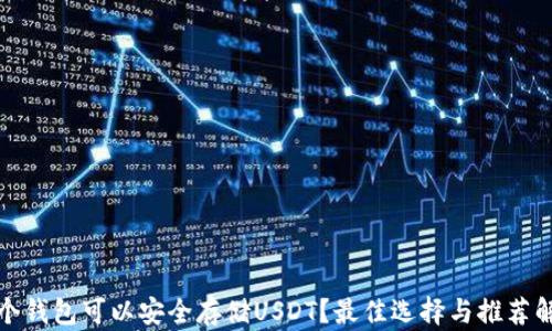 
哪个钱包可以安全存储USDT？最佳选择与推荐解析