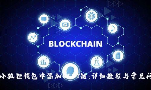 如何在小狐狸钱包中添加USDT链:详细教程与常见问题解析