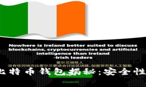  李晨使用的比特币钱包揭秘：安全性与功能性并存