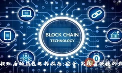 比特币提现后的钱包选择指南：安全、高效与便捷的最佳实践