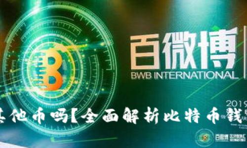 比特币钱包能存放其他币吗?全面解析比特币钱包的多币种存储能力