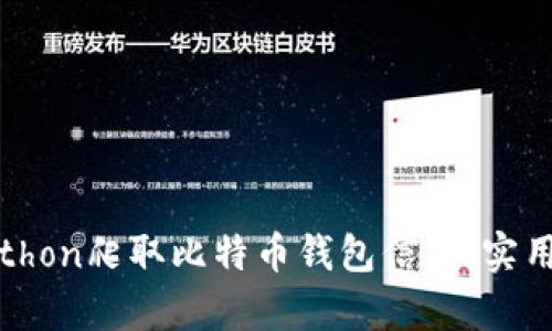 如何使用Python爬取比特币钱包信息:实用指南与示例