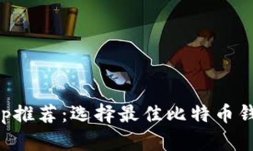 比特币钱包App推荐：选择最佳比特币钱包的详细指南