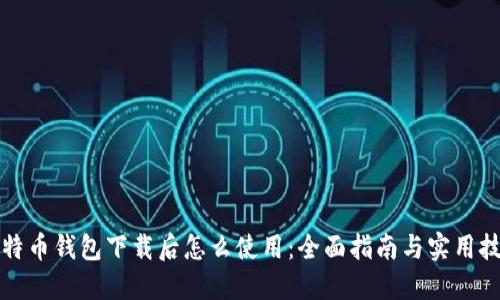 比特币钱包下载后怎么使用：全面指南与实用技巧