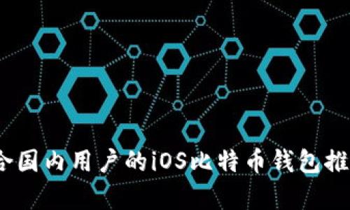 全面解析：适合国内用户的iOS比特币钱包推荐与使用指南