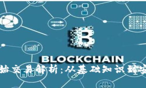 比特币钱包原始交易解析:从基础知识到安全操作全攻略