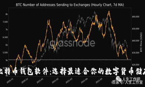 全面解析比特币钱包软件：选择最适合你的数字货币储存解决方案