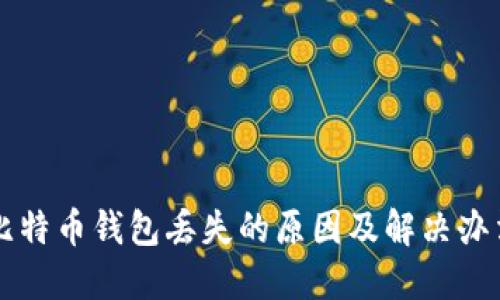 比特币钱包丢失的原因及解决办法